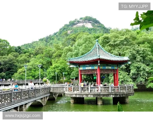 周茜清华大学网球之路：从校园赛场到职业梦想的跨越与挑战